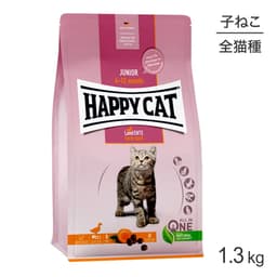 HAPPY　CAT　ジュニア　ファームダック(平飼いの鴨/穀物不使用)