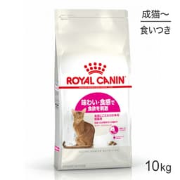 ロイヤルカナン　セイバー　エクシジェント（味わい・食感にこだわる猫専用フード　成猫用）